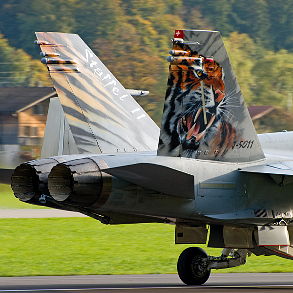 087_Meiringen_FA-18C Hornet.jpg